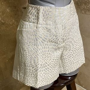 The Limited Cassidy Shorts / NWT / Size 6